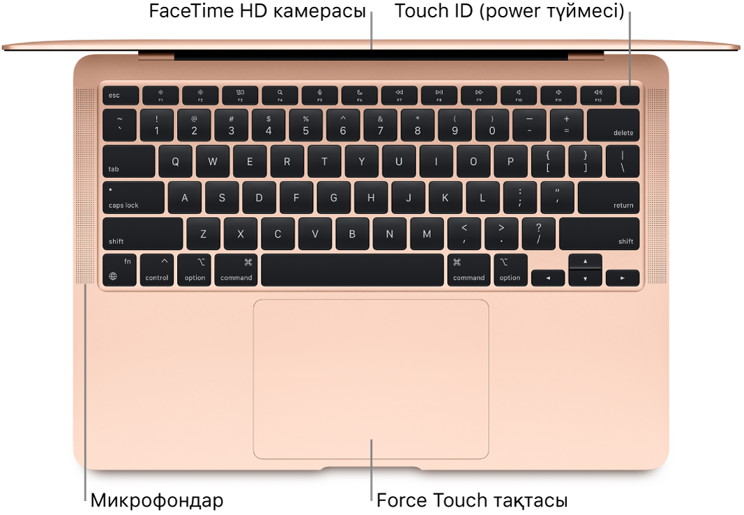 FaceTime HD камерасына, Touch ID құралына (қуат түймесі), микрофондарға және Force Touch тақтасына тілше деректері бар, ашық MacBook Air компьютерінің жоғарыдан қарағандағы көрінісі.