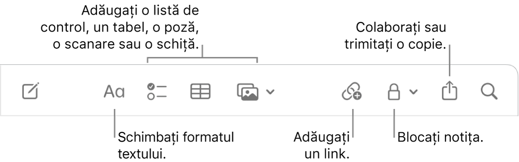 Bara de instrumente Notițe, cu explicații pentru formatarea textului, listă de control, tabel, link, poze/conținut multimedia, blocare, partajare și instrumentele pentru trimiterea unei copii.