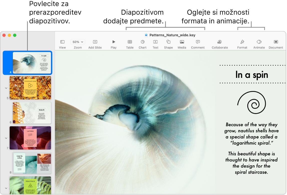 Okno aplikacije Keynote, v katerem je na levi strani prikazan krmar po diapozitivih, na vrhu pa je prikazano, kako spremenite vrstni red diapozitivov, prikazana pa je tudi orodna vrstica z orodji za urejanje. Zgoraj desno je gumb Collaborate, na desni strani pa sta gumba Format in Animate.