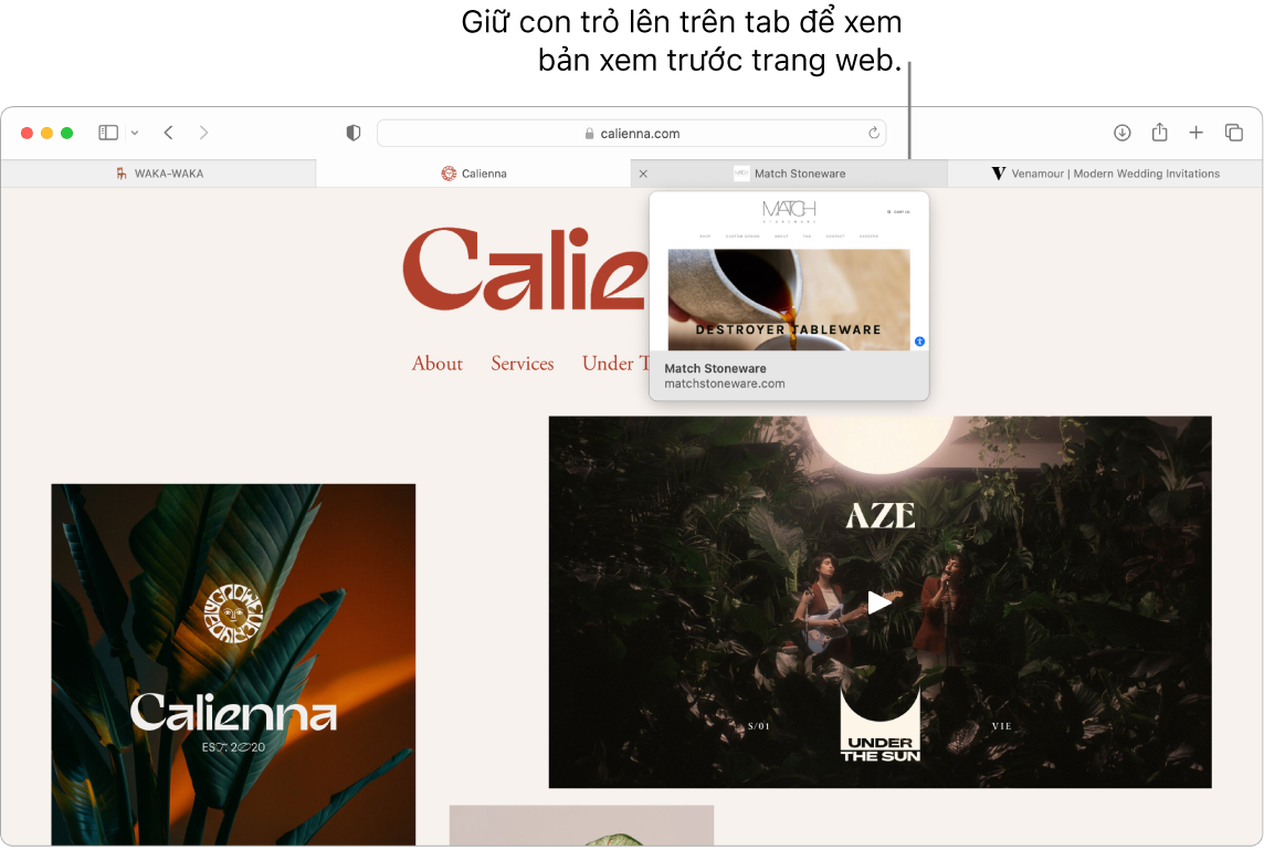 Cửa sổ Safari với trang web đang hoạt động có tên Calienna, cùng với 3 tab bổ sung và một chú thích đến bản xem trước của tab Match Stoneware với văn bản “Giữ con trỏ trên một tab để xem bản xem trước của trang web”.