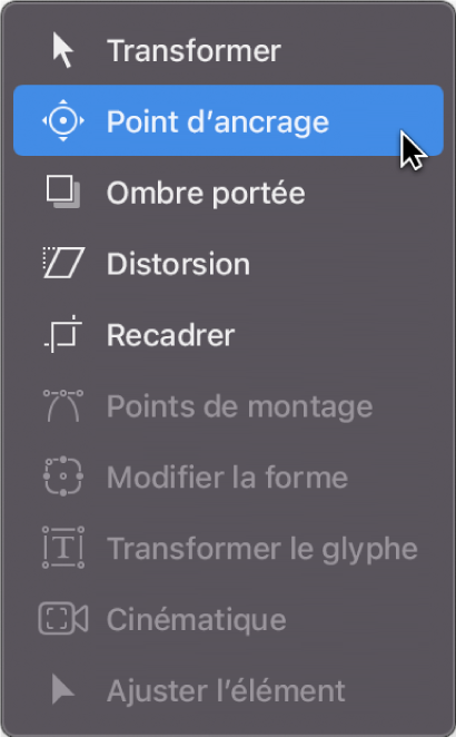 Sélection de l’outil Point d’ancrage dans le menu local des outils de transformation