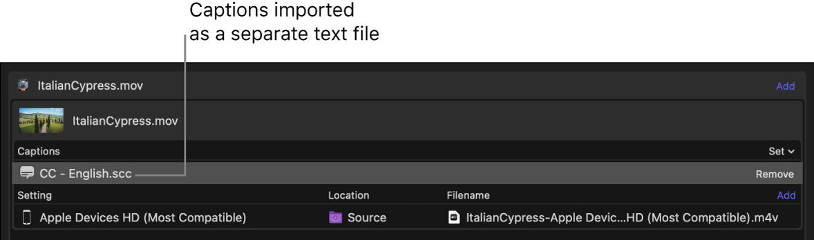 Stapelbereich mit einer Datei mit den Untertiteln, die als separate Textdatei hinzugefügt wurden