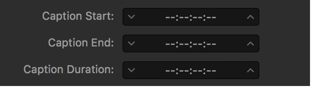 Caption timing fields showing dashes instead of timecode