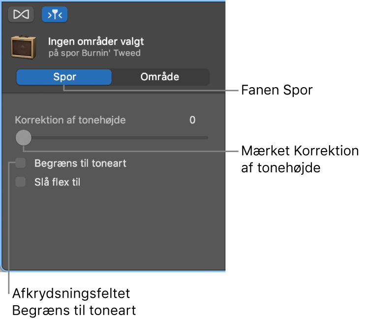 Info om lydværktøj i sporfunktion med mærket Korrektion af tonehøjde og afkrydsningsfeltet Begræns til toneart.