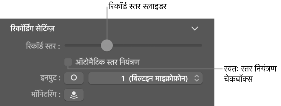 Smart Controls इंस्पेक्टर में रिकॉर्ड स्तर स्लाइडर और ऑटोमैटिक लेवल कंट्रोल चेकबॉक्स।