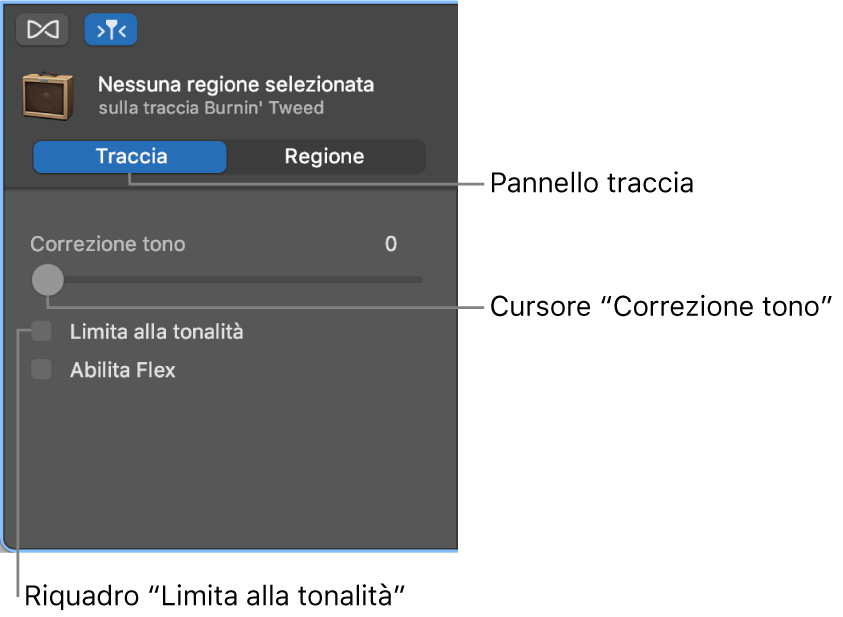 Inspector “Editor audio” in modalità Traccia, con cursore “Correzione tono” e opzione “Limita alla tonalità”.