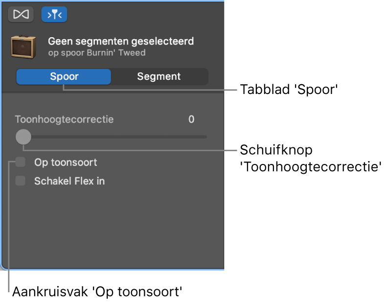 Infovenster van de audio-editor in de spoormodus, met de schuifknop 'Toonhoogtecorrectie' en het aankruisvak 'Op toonsoort'.