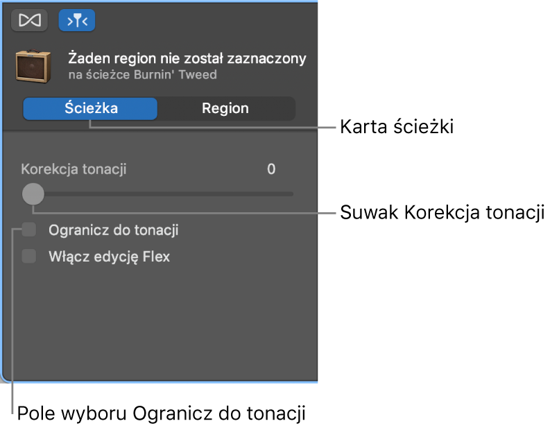 Inspektor edytora audio w trybie edycji ścieżek z suwakiem Korekcja tonacji oraz polem wyboru Ogranicz do tonacji.