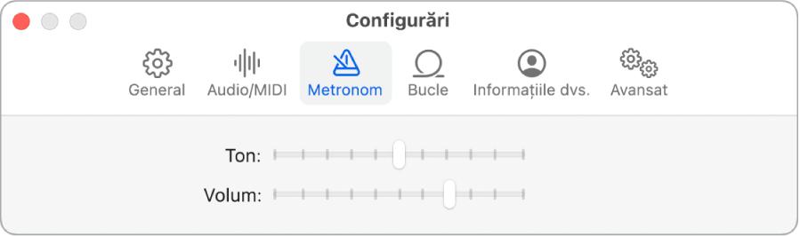 Panoul Configurări Metronom.