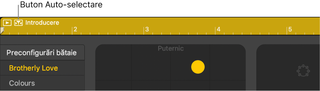 Butonul Auto-selectare Drummer.
