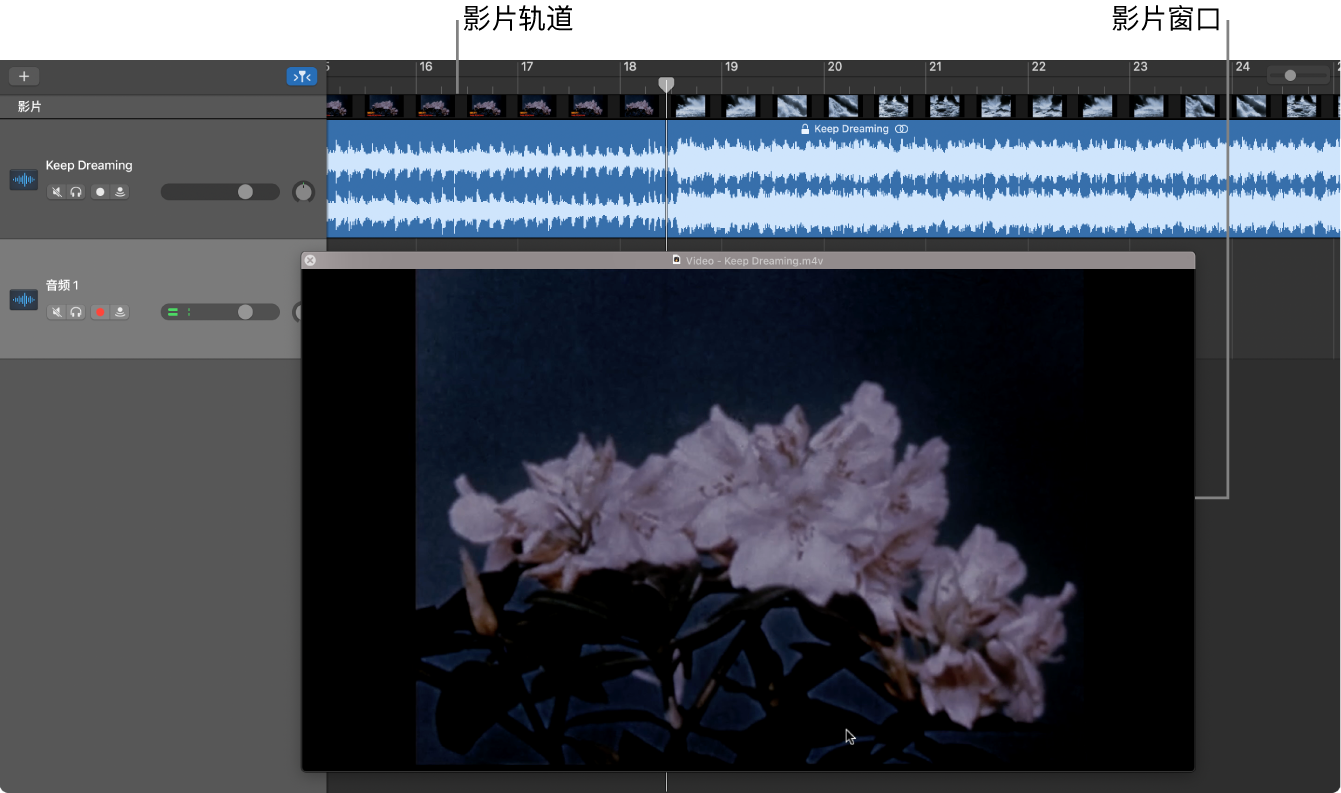 浮动的“影片”窗口和含有影片中音频的轨道。