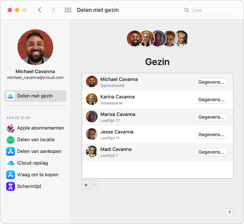 Voorkeurenpaneel 'Delen met gezin', met een navigatiekolom met daarin verschillende typen accountopties die je kunt gebruiken, en het voorkeurenpaneel 'Gezin' voor een bestaande account.