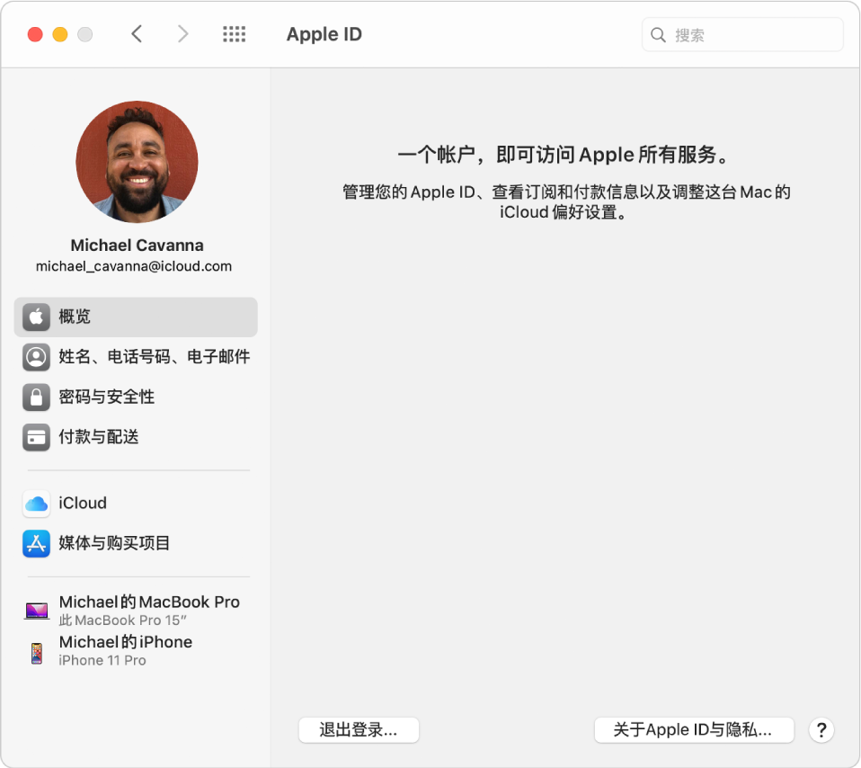 Apple ID 偏好设置的边栏显示您可以使用的不同类型的帐户选项以及现有帐户的“概览”偏好设置。