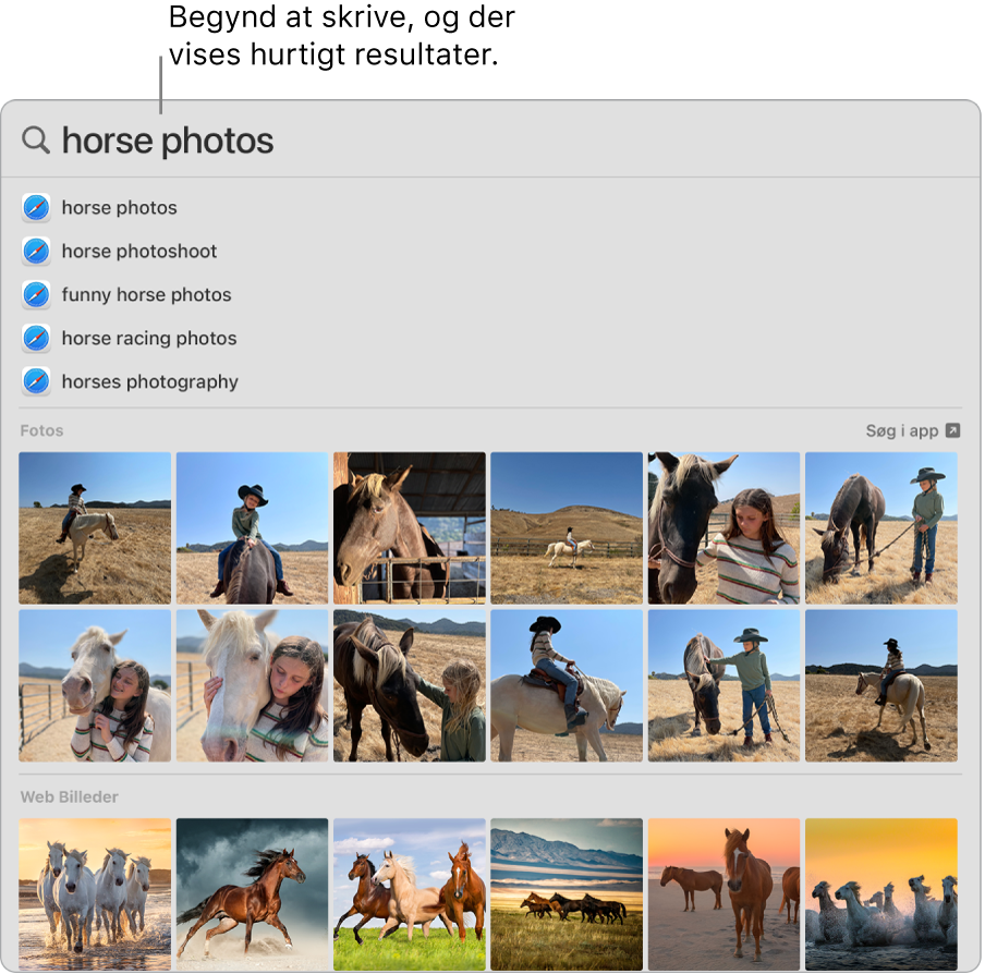 Spotlight-vinduet, der viser søgeresultater for “horse photos”.