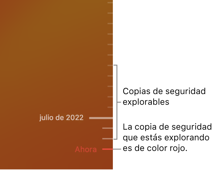 El control temporal de la copia de seguridad de Time Machine.