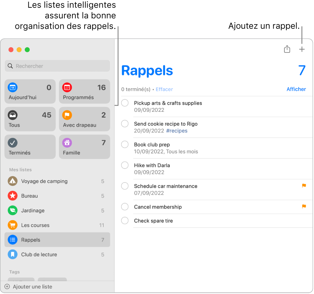 Fenêtre de Rappels avec des listes intelligentes sur la gauche, et d’autres rappels et listes en dessous. Le pointeur se trouve sur un rappel. Les listes intelligentes et le bouton « Ajouter un nouveau rappel » sont accompagnés de légendes.