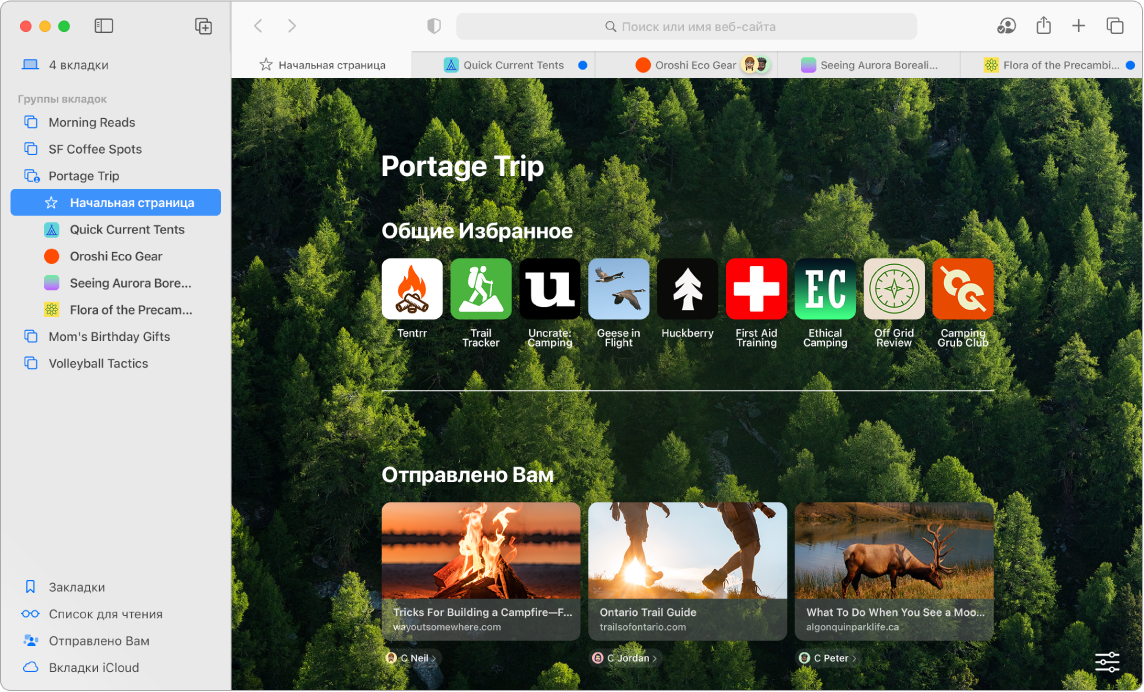 В окне Safari открыто боковое меню, меню групп вкладок и общая группа вкладок с несколькими ссылками. В боковом меню представлены разделы «Закладки», «Список чтения», «Отправлено Вам» и «Вкладки iCloud».