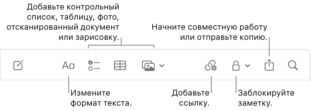 Панель инструментов в приложении «Заметки». Выносками отмечены инструменты форматирования, добавления списка, таблицы, ссылки, мультимедиа, кнопка для установки пароля, кнопка «Поделиться» и кнопка «Отправить копию».