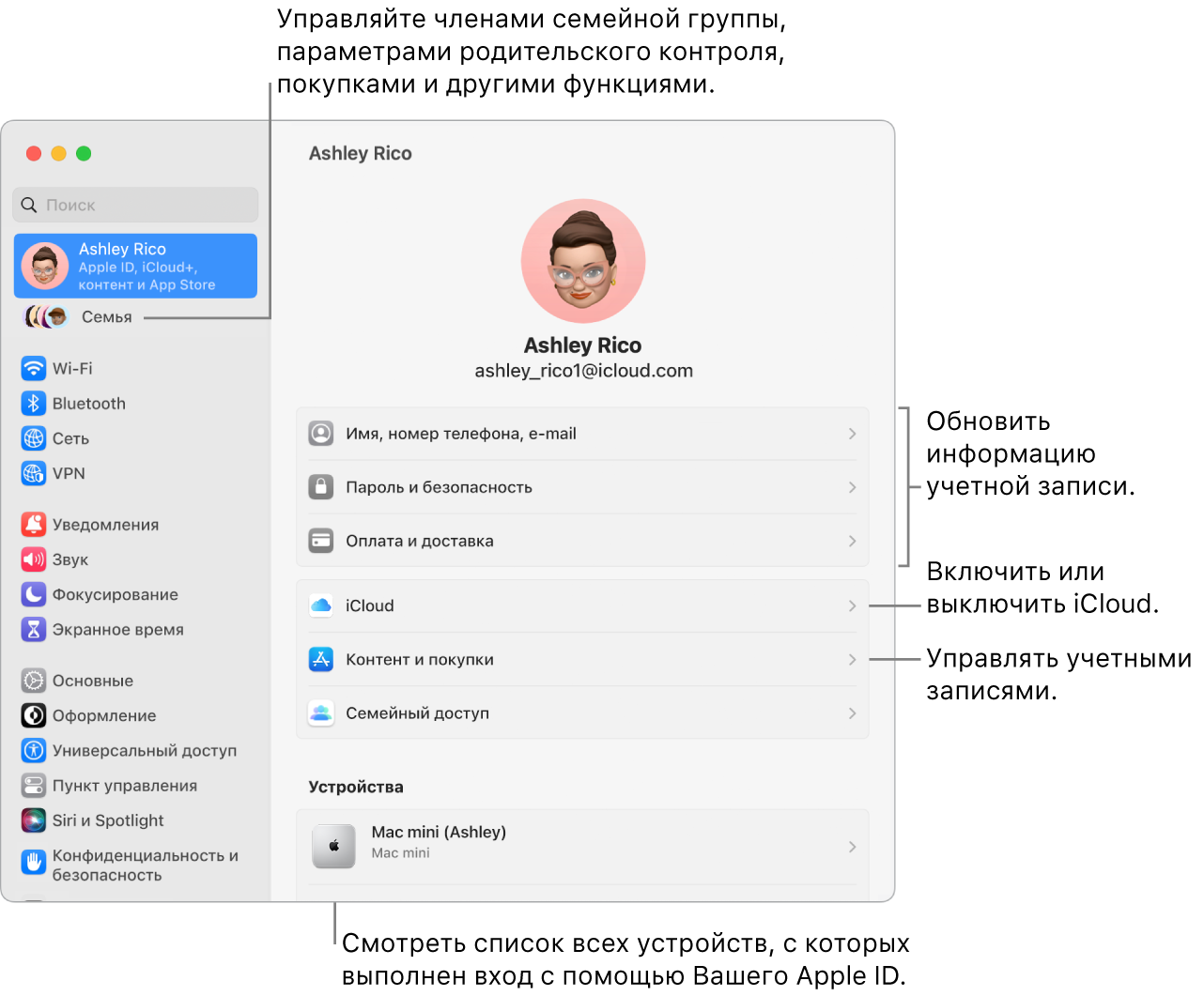 Настройки Apple ID в Системных настройках. Сносками показаны параметры обновления сведений учетной записи, включения или выключения функций iCloud и управления настройками учетных записей для мультимедиа. В настройках Семейного доступа показаны параметры управления устройствами членов семьи, родительским контролем, покупками и многим другим.