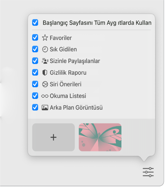 Favoriler, Sık Ziyaret Edilen, Sizinle Paylaşılan, Gizlilik Raporu, Siri Önerileri, Okuma Listesi ve Arka Plan Görüntüsü onay kutularıyla Safari’yi Özelleştir açılır menüsü.