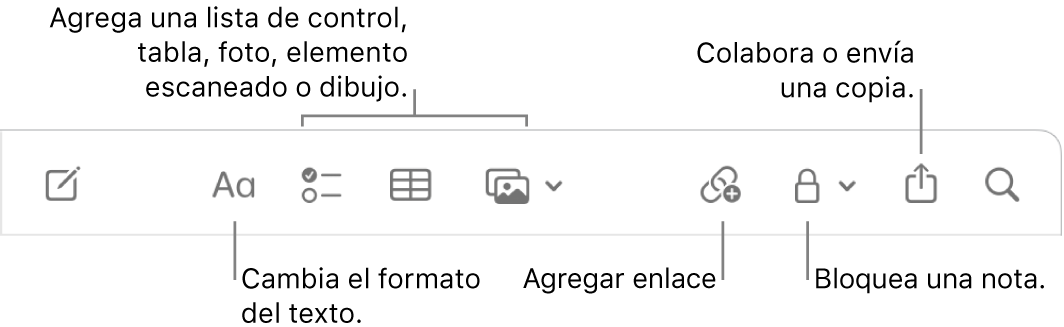 La barra de herramientas de Notas con texto indicando las herramientas de formato del texto, lista de comprobación, tabla, enlace, fotos/medios, bloqueo, compartir y enviar una copia.