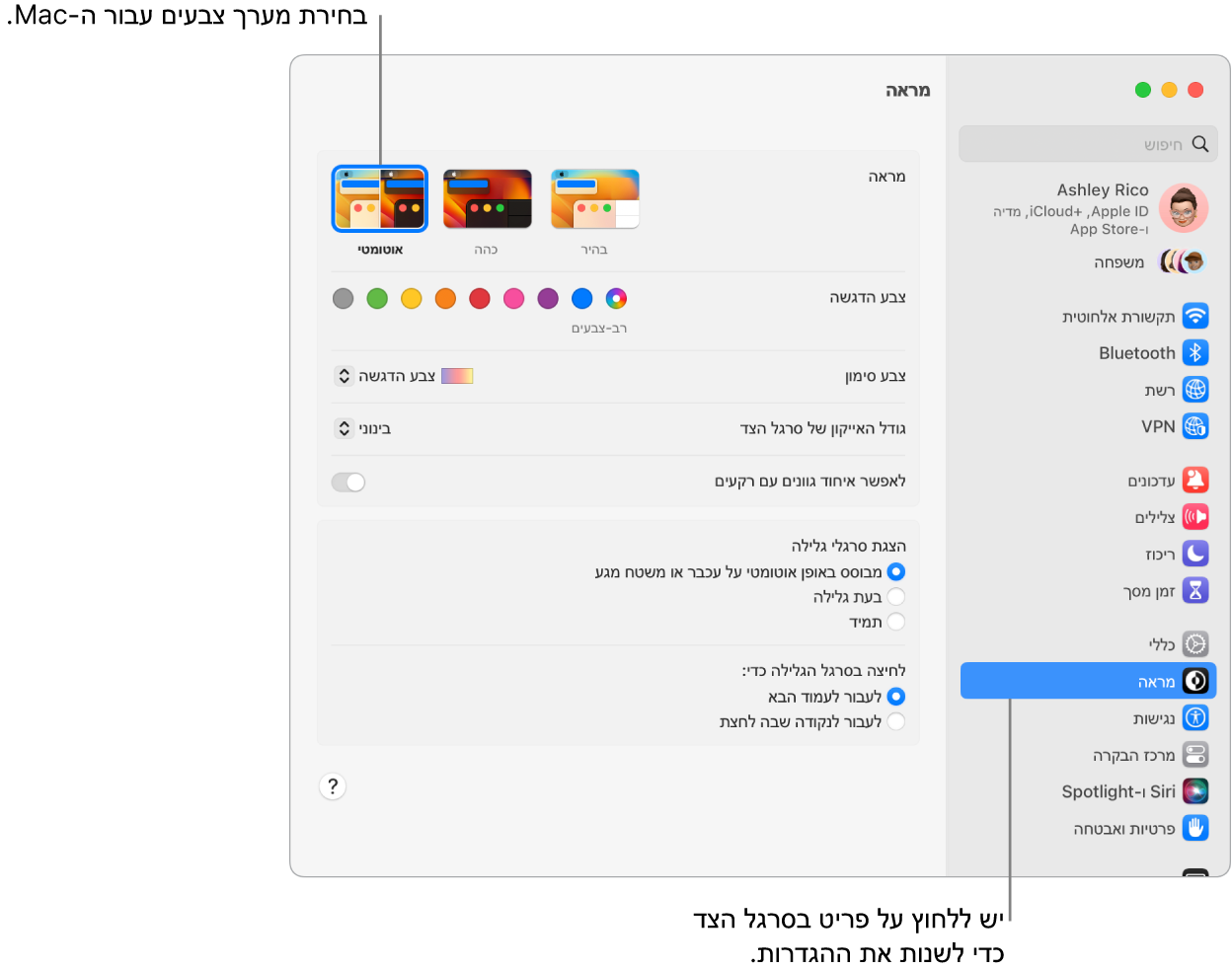 חלון ״מראה״ ב״הגדרות המערכת״.