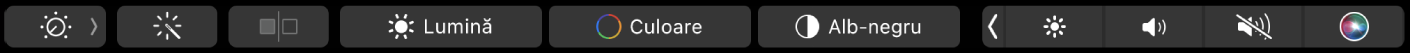 Touch Bar cu butoane pentru editarea pozelor: decupare, filtre, ajustare și retușare, precum și butonul pentru navigare la mai multe opțiuni.