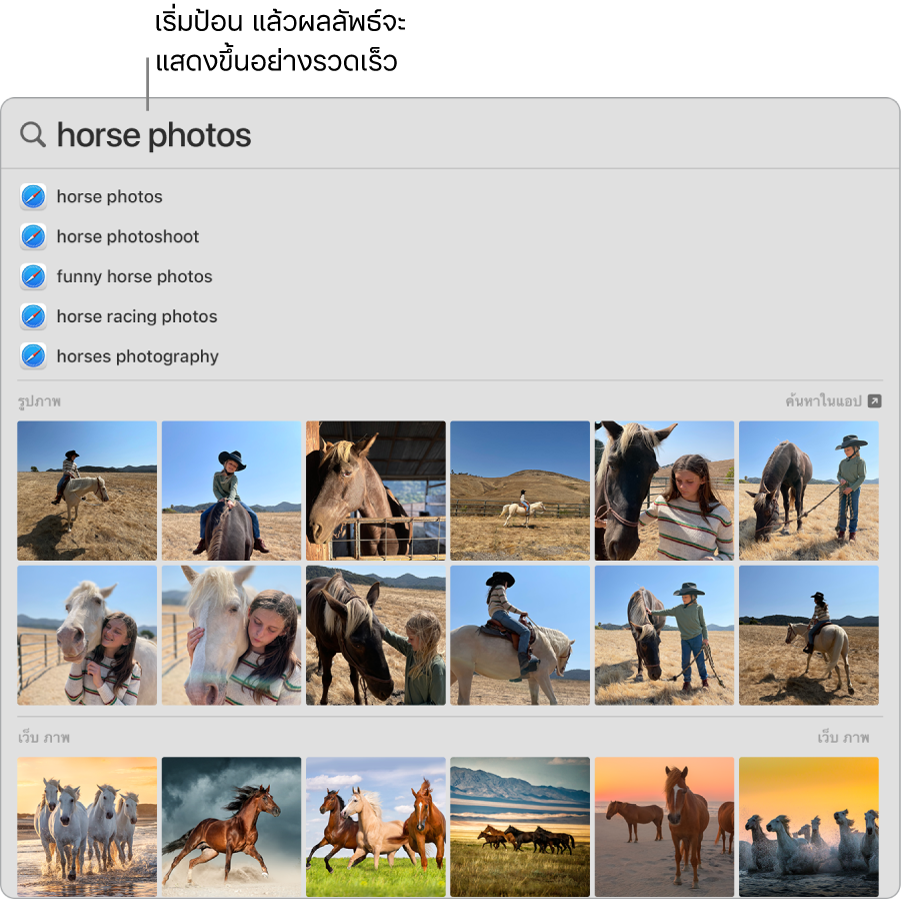 หน้าต่าง Spotlight ที่แสดงผลการค้นหาสำหรับ “รูปม้า”