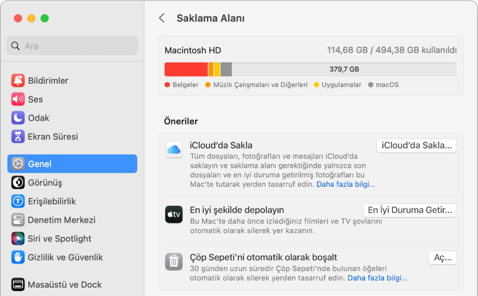 iCloud’da Depola, Depolamayı İyi Duruma Getir ve Çöp Sepetini Otomatik Olarak Boşalt seçeneklerini gösteren depolamaya yönelik Öneriler ayarları.