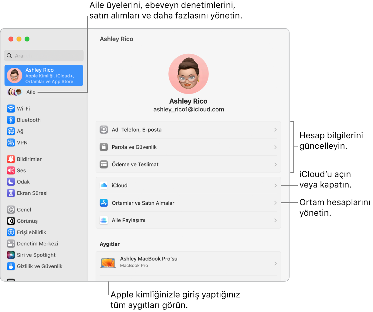 Hesap bilgilerini güncellemeye, iCloud özelliklerini açma veya kapatmaya, ortam hesaplarını yönetmeye ve aile üyelerini, ebeveyn denetimlerini, satın almaları vb. yönetebileceğini Aile’ye belirtme çizgileri ile Sistem Ayarları’nda Apple Kimliği ayarları.