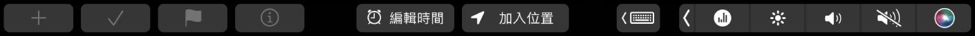 帶有新增提醒事項、勾選、加上旗標、資訊、「編輯時間」以及「加入位置」按鈕的「提醒事項」觸控列。