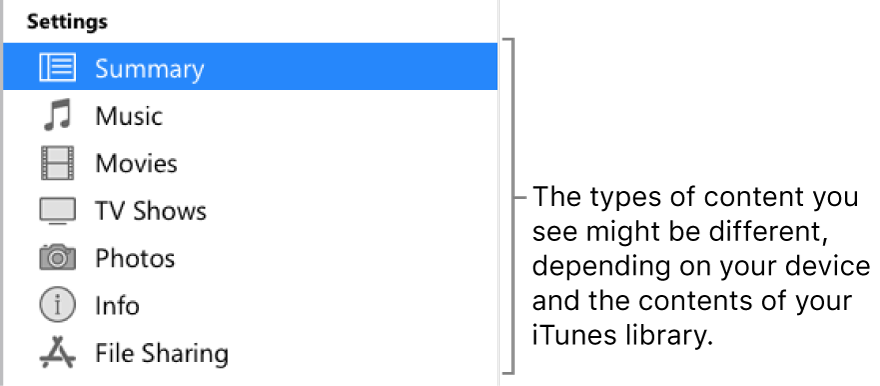 Summary is selected in the sidebar on the left. The types of content that appear might vary, depending on your device and the contents of your iTunes library.