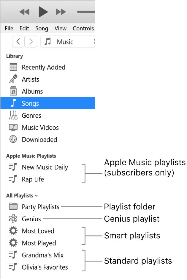 The iTunes sidebar showing the various types of playlists: Apple Music (subscribers only), Genius, Smart, and standard playlists, plus a playlist folder.