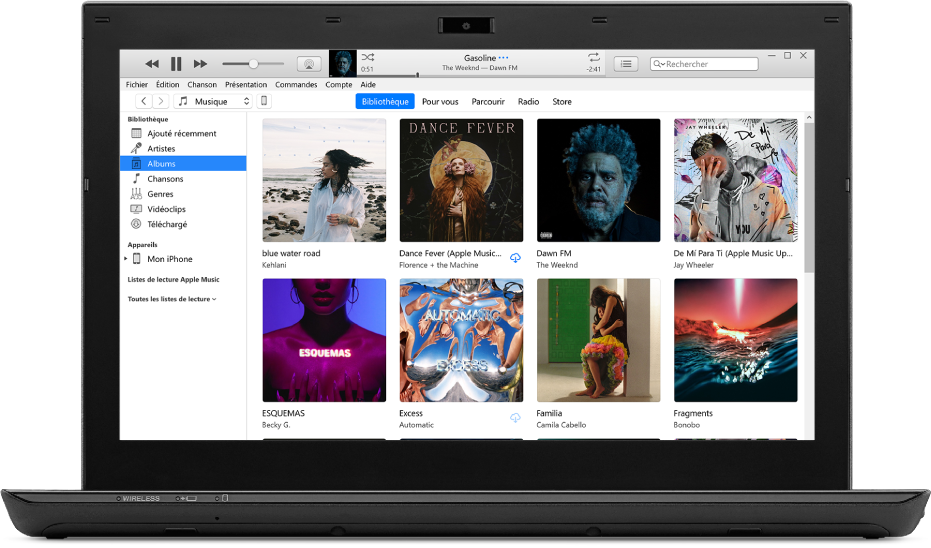 La fenêtre iTunes avec une bibliothèque de plusieurs albums.