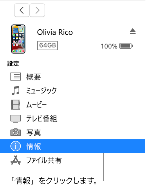 デバイスのウインドウ。左側のサイドバーで「情報」が選択されています。