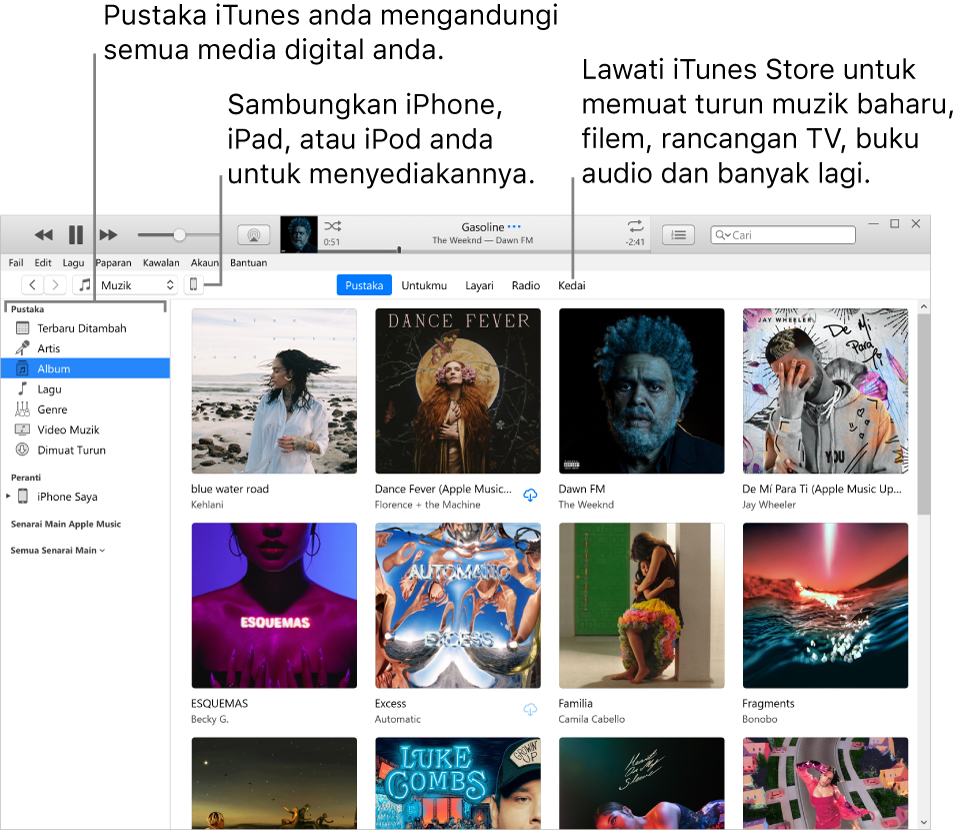 Paparan tetingkap iTunes: Tetingkap iTunes mempunyai dua anak tetingkap. Di sebelah kiri ialah bar sisi Pustaka, yang mengandungi semua media digital anda. Di sebelah kanan, dalam kawasan kandungan lebih besar , anda boleh melihat pilihan yang anda mahukan—contohnya melawat pustaka anda atau halaman Untukmu, layari muzik dan video iTunes baru, atau lawati iTunes Store untuk memuat turun muzik baru, filem, rancangan TV, buku audio dan banyak lagi. Di sebelah kanan atas bar sisi Pustaka ialah butang Peranti, yang menunjukkan bahawa iPhone, iPad, atau iPod anda disambungkan ke PC anda.