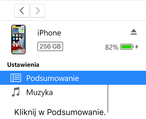 Okno urządzenia z sekcją Podsumowanie zaznaczoną na pasku bocznym po lewej.