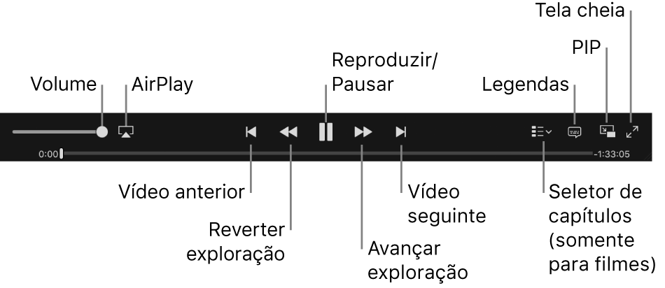 Controles de vídeo: Volume, AirPlay, Vídeo anterior, Reverter exploração, Reproduzir/Pausar, Avançar exploração, Vídeo seguinte, Seletor de capítulos (somente para filmes), Legendas, PIP e Tela cheia.