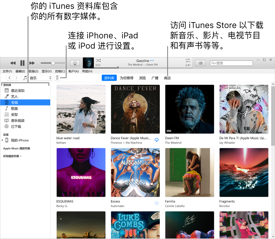 iTunes 窗口视图：iTunes 窗口有两个窗格。左侧是“资料库”边栏，包含你所有的数字媒体。在右侧的较大内容区域中，你可以查看感兴趣的精选，例如访问你的资料库或“为你推荐”页面，浏览新的 iTunes 音乐和视频，或者访问 iTunes Store 以下载新音乐、影片、电视节目、有声书等。“资料库”边栏的右上方是“设备”按钮，显示连接到 PC 的 iPhone、iPad 或 iPod。