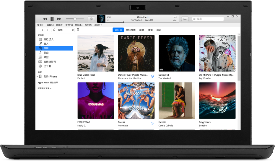 iTunes 視窗顯示多張專輯的資料庫。