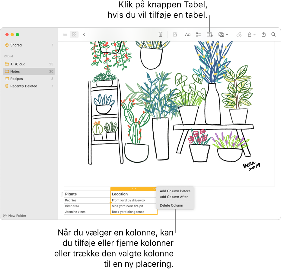 Vinduet Noter med knappen Tabel – klik på den for at tilføje en tabel. I noteindholdet er en tabelkolonne valgt, så du enten kan trække den til en ny placering eller tilføje eller fjerne kolonner.