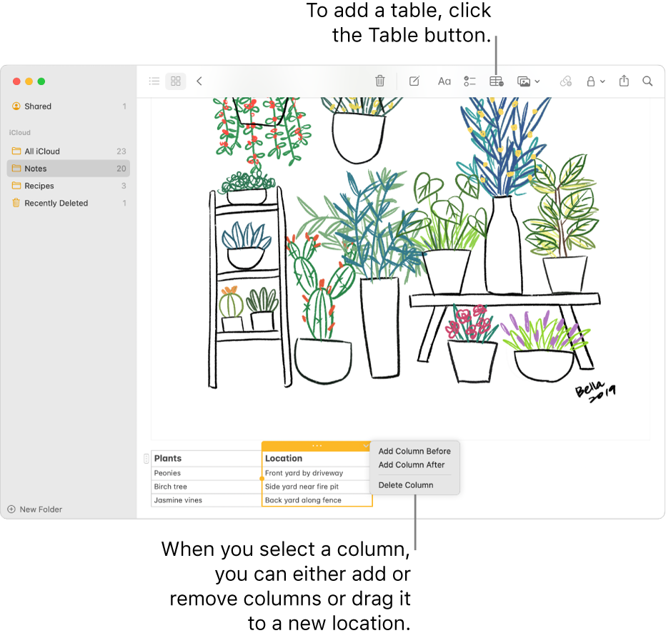 The Notes window showing the Table button—click it to add a table. Within the note content, a table column is selected so you can either add or remove columns or drag it to a new location.