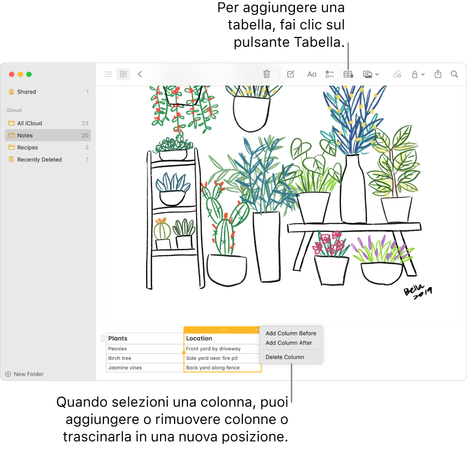 La finestra di Note che mostra il pulsante Tabella; fai clic su di esso per aggiungere una tabella. All'interno del contenuto della nota, viene selezionata una colonna della tabella in modo da poter aggiungere o rimuovere colonne oppure trascinala in una nuova posizione.