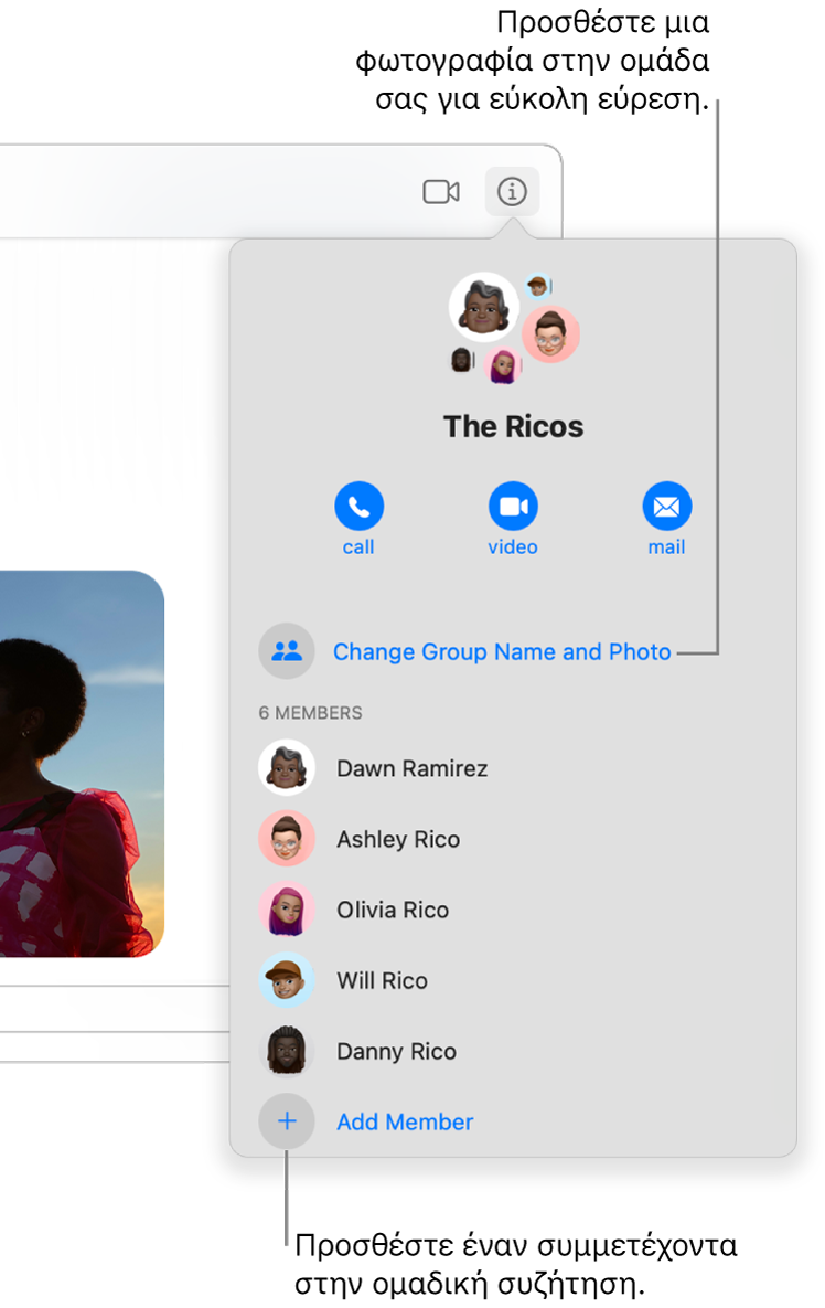 Η προβολή «Λεπτομέρειες», η οποία εμφανίζεται όταν κάνετε κλικ στο κουμπί «Λεπτομέρειες» σε μια ομαδική συζήτηση. Η επιλογή «Προσθήκη μέλους» εμφανίζεται κάτω από το όνομα του τελευταίου συμμετέχοντα στη λίστα. Μπορείτε να αλλάξετε το όνομα ομάδας και τη φωτογραφία ακριβώς πάνω από τα ονόματα των συμμετεχόντων.