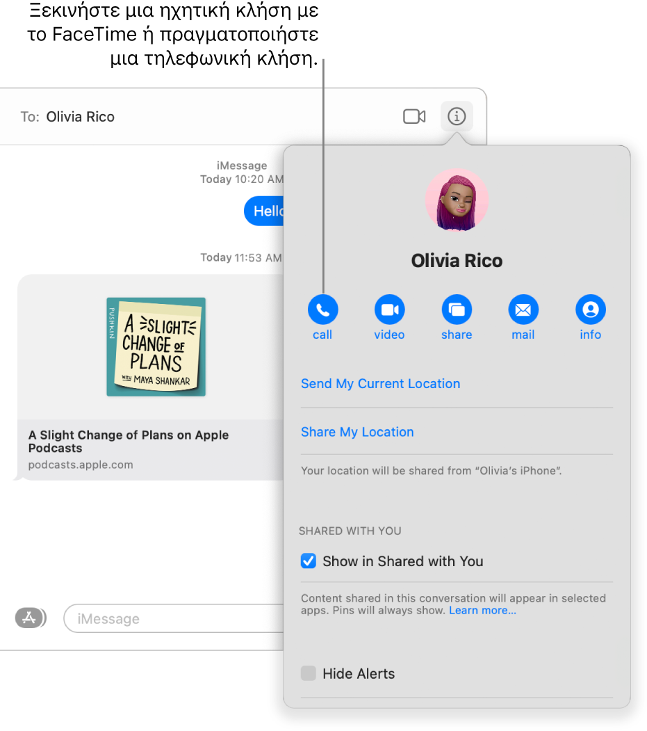 Η προβολή «Λεπτομέρειες», η οποία εμφανίζεται όταν κάνετε κλικ στο κουμπί «Λεπτομέρειες» σε μια συζήτηση. Χρησιμοποιήστε το κουμπί κλήσης στα αριστερά για να ξεκινήσετε μια ηχητική κλήση με το FaceTime ή για να πραγματοποιήσετε μια τηλεφωνική κλήση.
