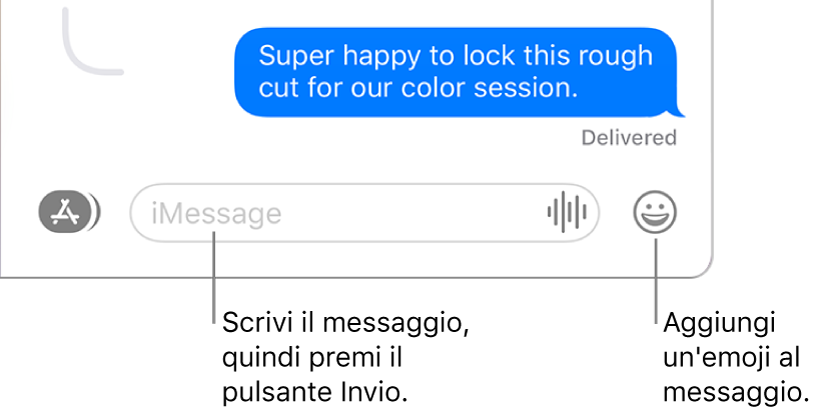 Una registrazione nella finestra Messaggi, con il campo del messaggio nella parte inferiore.