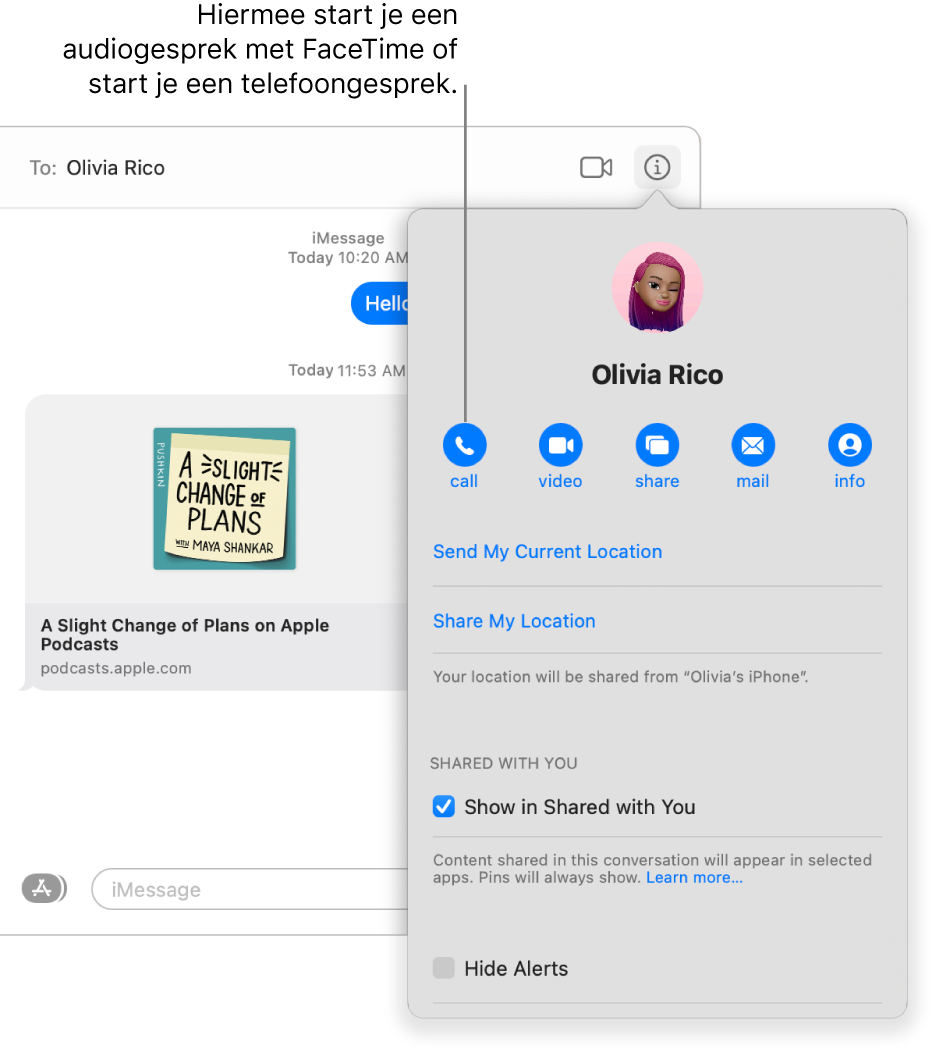 Detailweergave, die verschijnt nadat je in een gesprek op de knop 'Details' hebt geklikt. Gebruik de belknop aan de linkerkant om een audiogesprek via FaceTime of een telefoongesprek te starten.