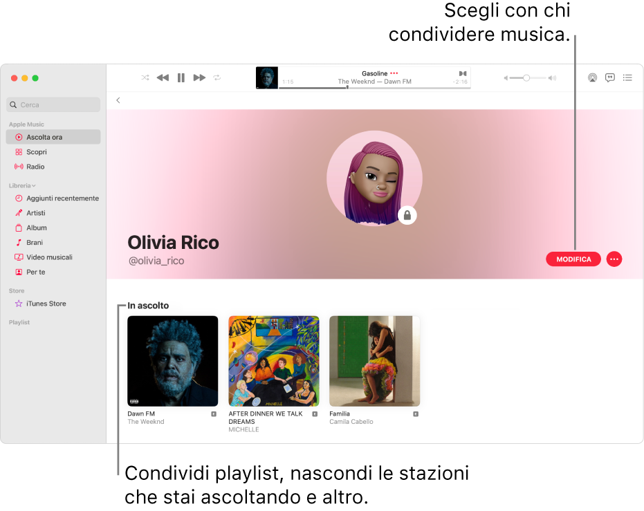 La pagina del profilo su Apple Music: sul lato destro della finestra, fai clic su Modifica per scegliere chi può seguirti. Sulla destra di Modifica, fai clic sul pulsante del menu Altro per o condividere la musica.