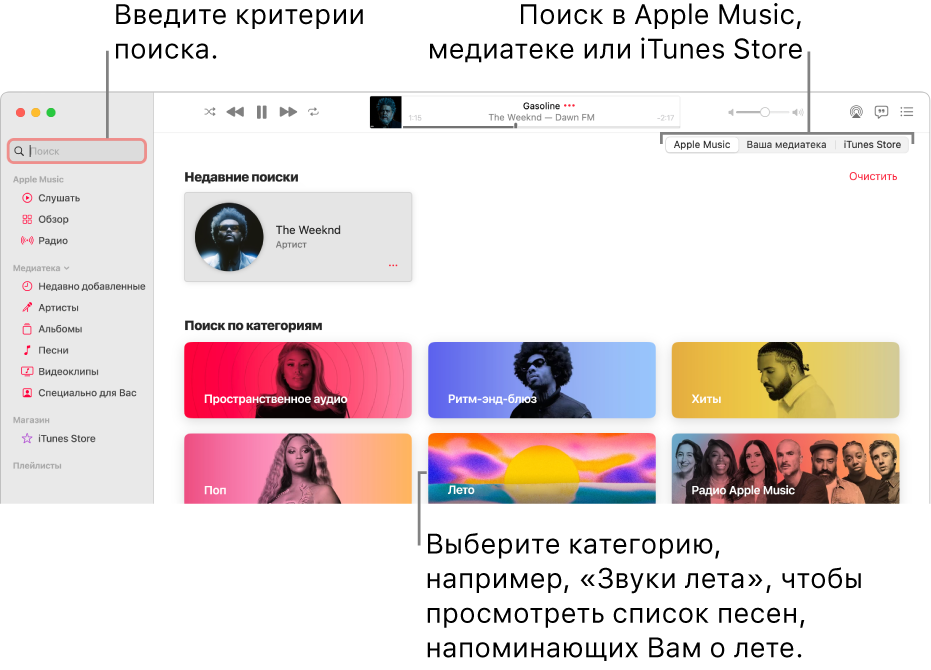 В левом верхнем углу окна Apple Music показано поле поиска, в центре окна показан список категорий поиска, а в правом верхнем углу доступны Apple Music, Ваша медиатека и iTunes Store. Пользователь вводит в поле поиска критерии для поиска, затем выбирает место поиска: все содержимое Apple Music, только содержимое его медиатеки или iTunes Store.