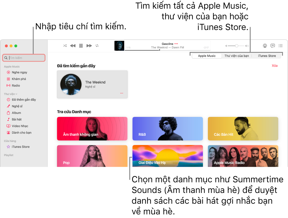 Cửa sổ Apple Music đang hiển thị trường tìm kiếm ở góc trên cùng bên trái, danh sách các danh mục ở giữa cửa sổ và Apple Music, Thư viện của bạn và iTunes Store có sẵn ở góc trên cùng bên phải. Nhập tiêu chí tìm kiếm vào trường tìm kiếm, sau đó chọn tìm kiếm tất cả Apple Music, chỉ thư viện của bạn hoặc iTunes Store.